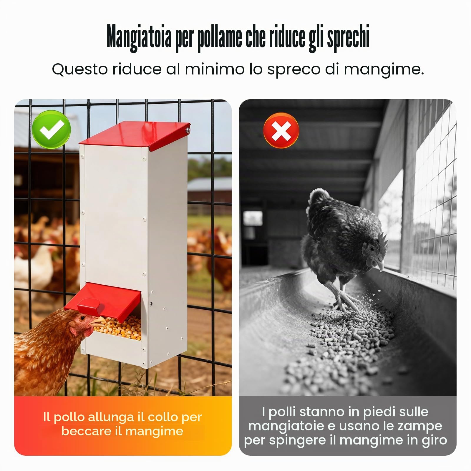 3kg Mangiatoia Automatica per Pollame Senza Sprechi Mangiatoia Galline Automatica in Acciaio Inox Esterni Alimentatore Automatico per Polli Anatre Pollame