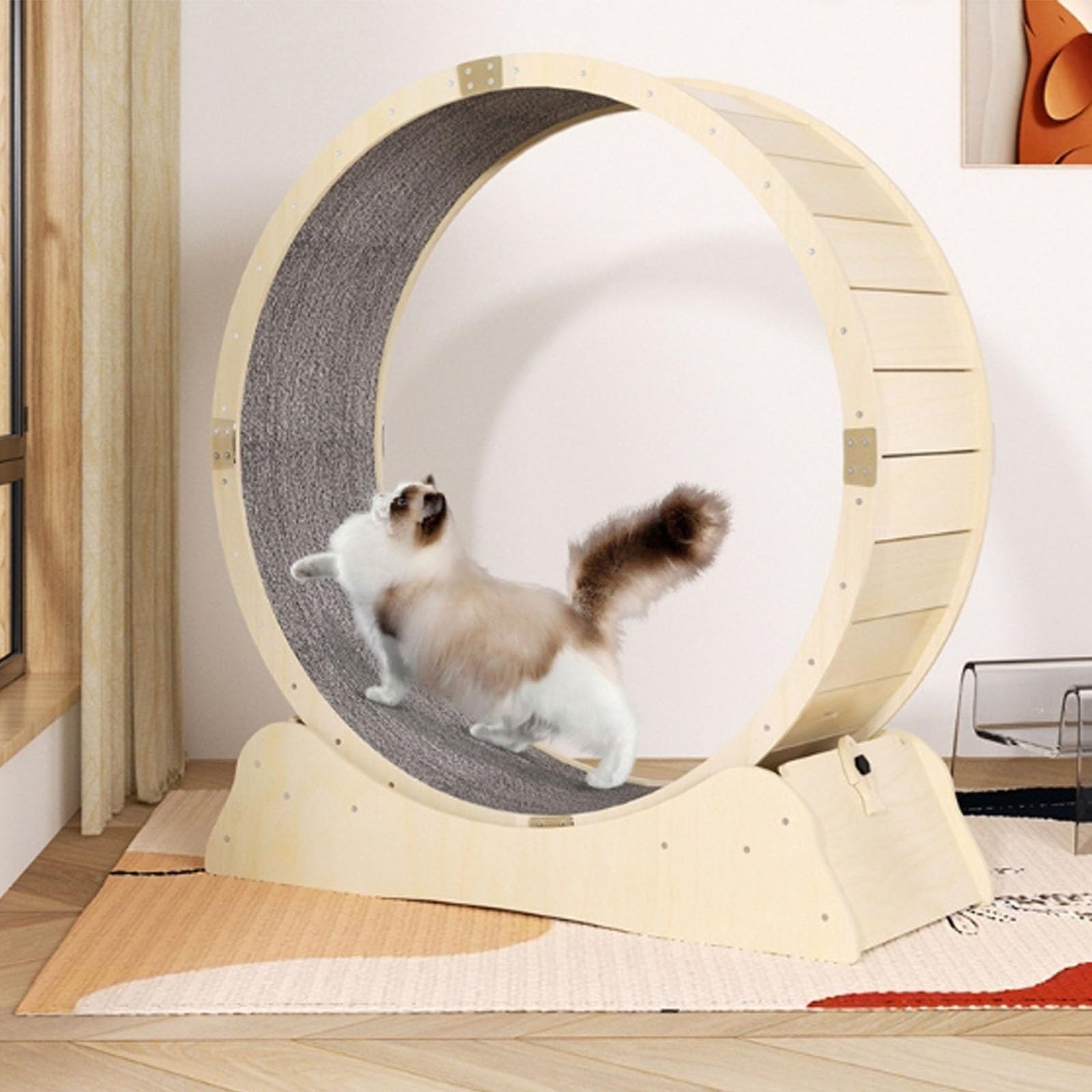【引き取りでお願いします】キャットホイール　組み立てたままの完成品のお渡しです Amazon | キャットホイール 猫 ホイール ランニング 猫 ランニング