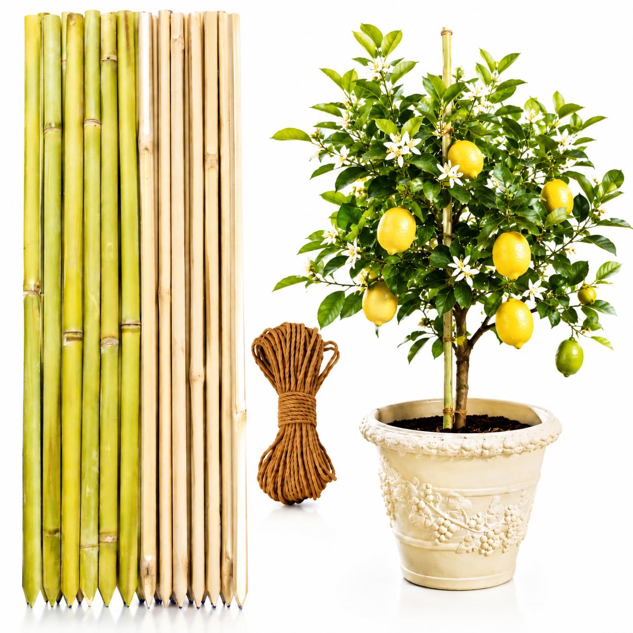 Bamboo Sticks for Plants 3 Feet (12 pcs), Plant Support Sticks for Indoor Plants, Natural Garden Stakes for Climbing Plants & Creepers, Strong Eco-Friendly Bamboo Support Rods (12)-image-7