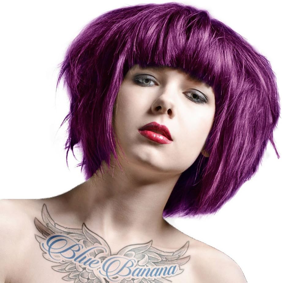 La Riche Directions Semi-Permanent Hair Colour 88ml x 2 tubs Plum by La Riche