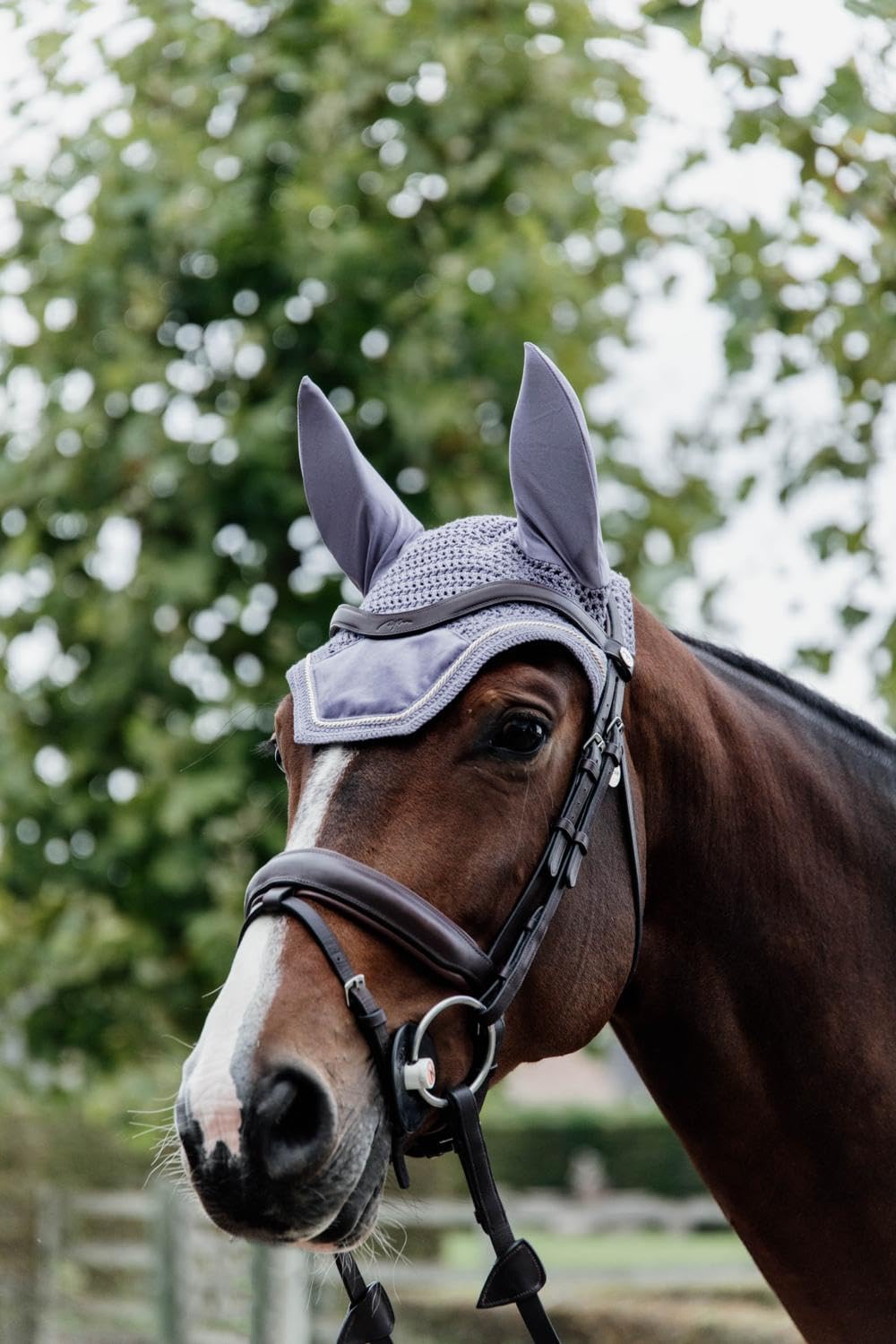 Kentucky Horsewear - Bonnet Wellington Velvet - Violet - pour Cheval