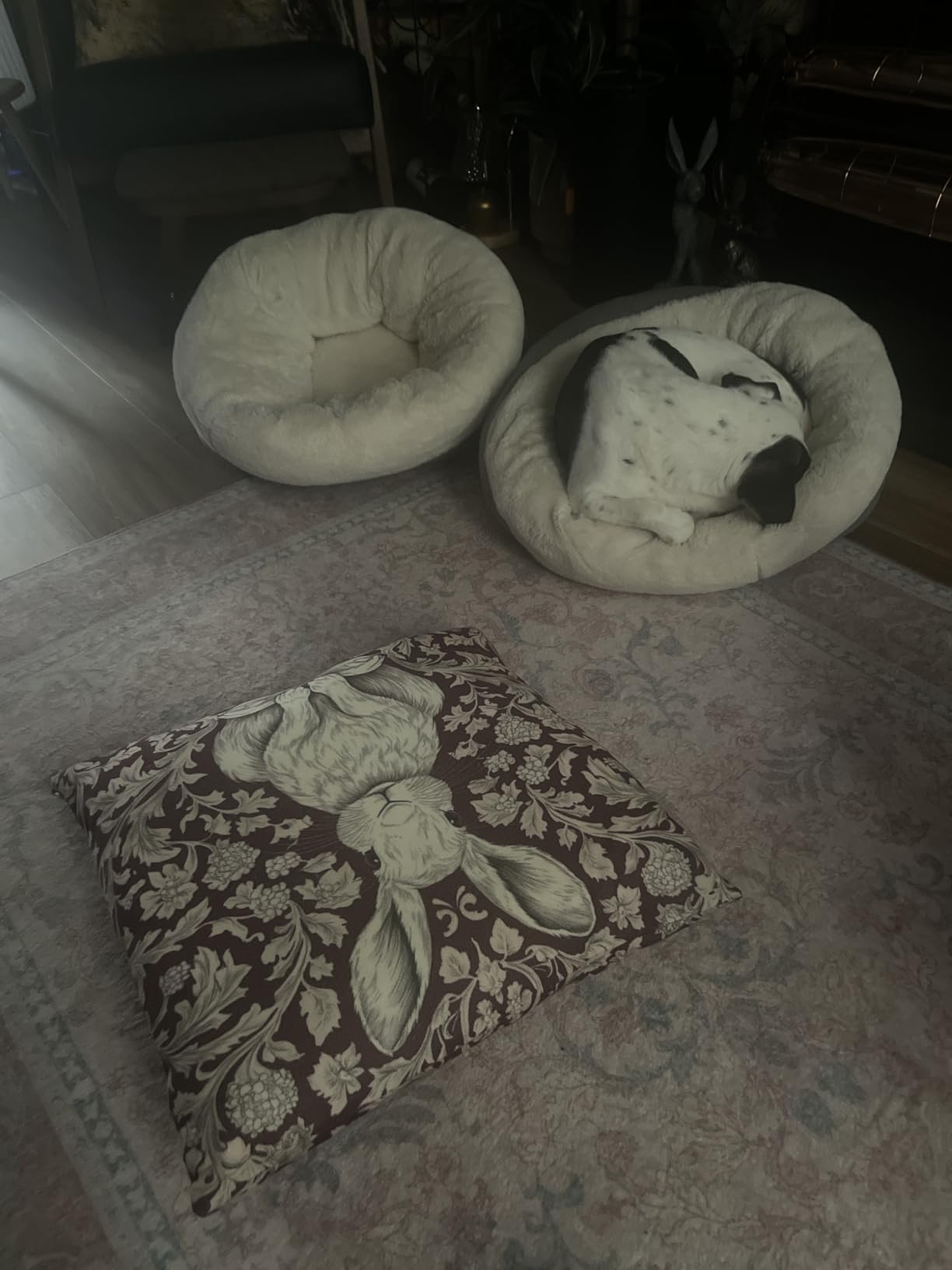 Customer photo