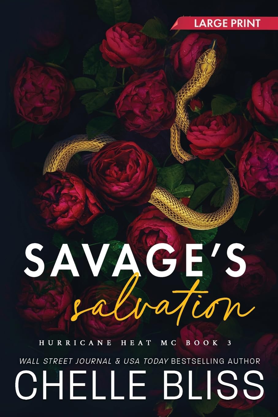 Savage's Salvation: Large Print Edition: 3 (Hurricane Heat MC)