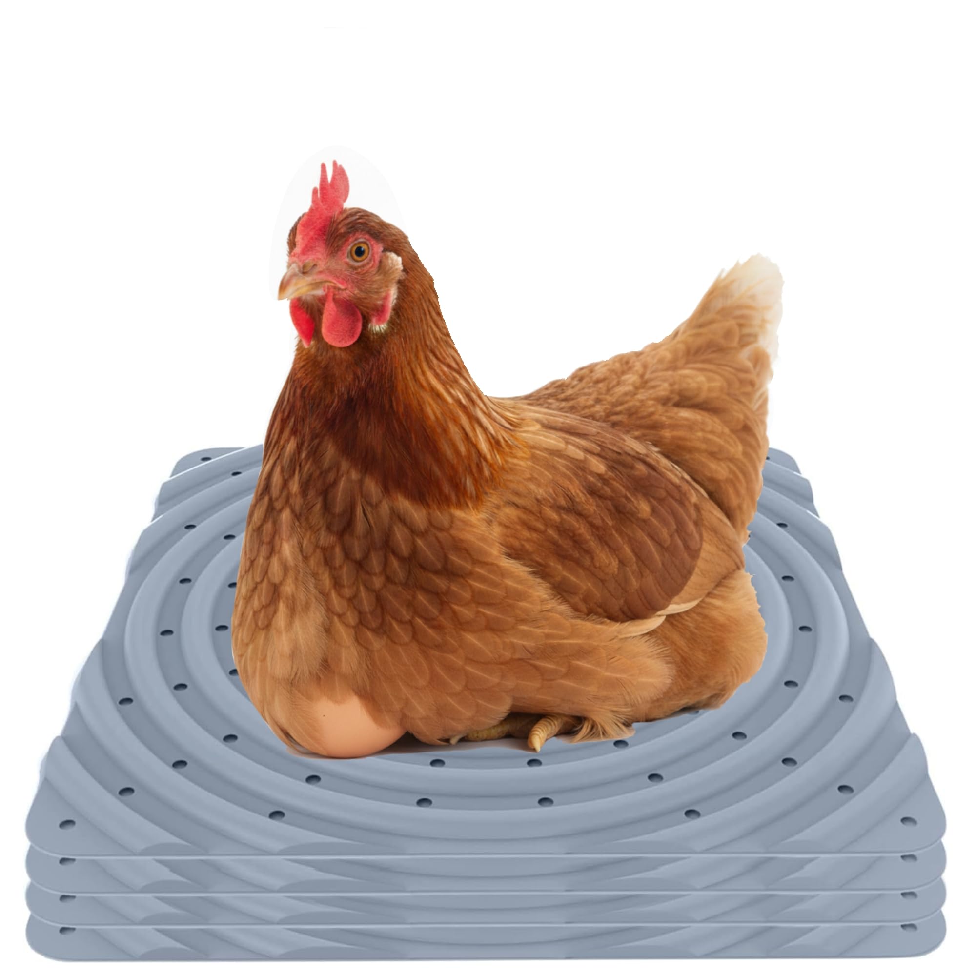 Lil'Clucker Washable Chicken Nesting Pads for Laying Eggs Nesting Pads for Chicken Coop Nesting Chickens Durable Chicken Bedding for Coop, Poultry Nest Box Pads for Chickens (Gray, 4-Pack)