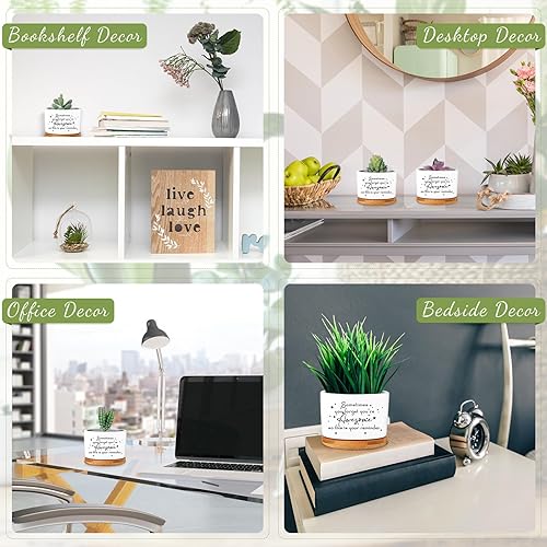 Miniatura 6 de 12 macetas inspiradoras para suculentas, regalos de agradecimiento a los empleados, regalos a granel para mujeres, compañeros de trabajo,