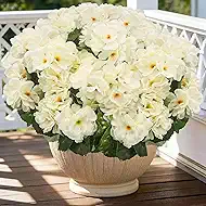 FULLMUSIC Artificial Flowers for Outdoor, UV Resistant Realistic Geranium Fake Flowers-Faux Flowers for Outdoor planters, Garden, Porch, Patio, Window Box Home Decor All Year Round (6, White)