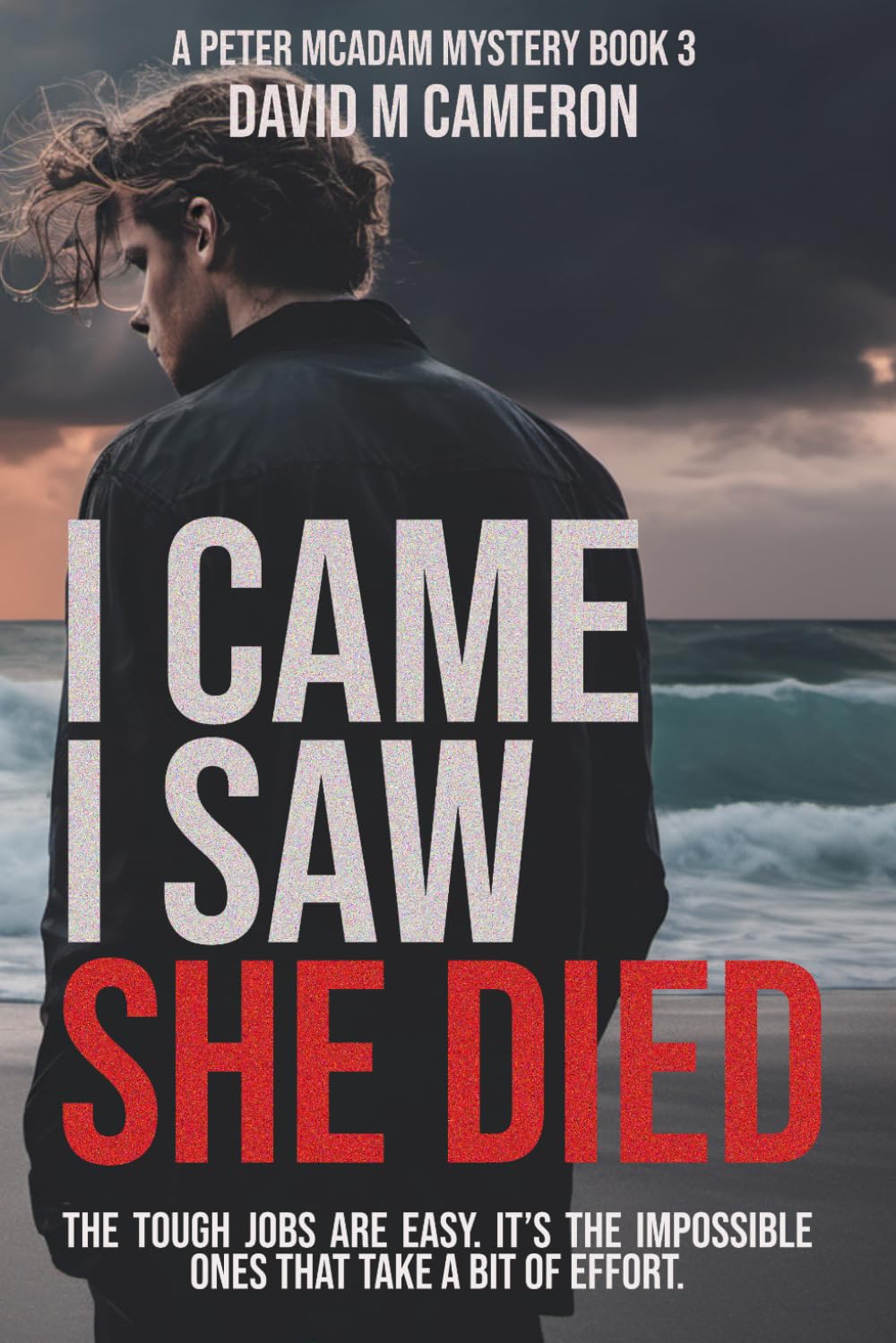 I Came I Saw She Died: The Tough Jobs are Easy. It is the Impossible Ones That Take a Bit of Effort.: 3 (Peter McAdam Mysteries)