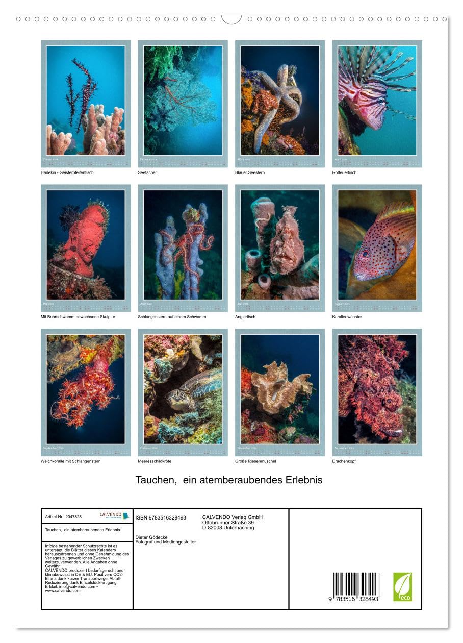 Tauchen, ein atemberaubendes Erlebnis (hochwertiger Premium Wandkalender 2026 DIN A2 hoch), Kunstdruck in Hochglanz: Die Kalenderseiten sind mit ... Tag in eine andere Welt eintauchen lassen.