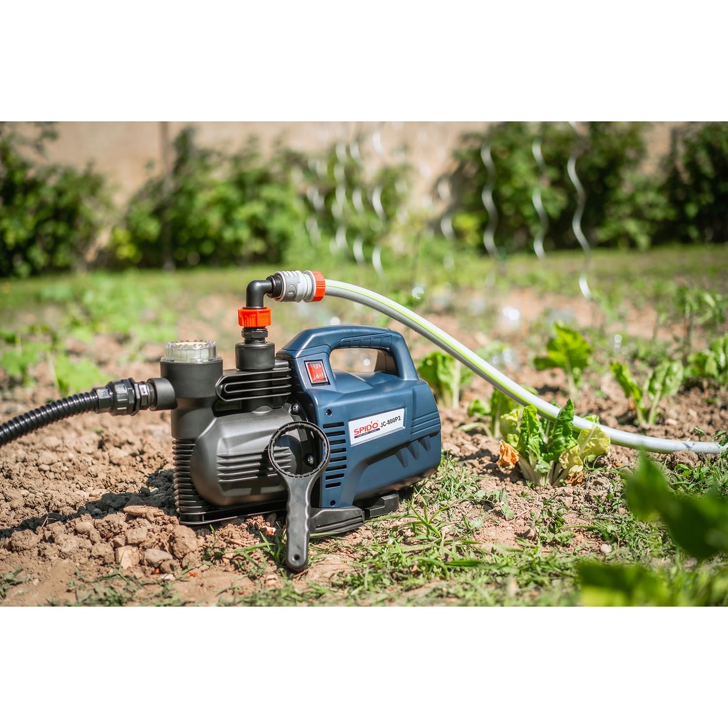 SPIDO - Pompe d’arrosage 800 W - 3500 L/h - 4 bars - Hauteur 40 m - Aspiration 7 m - Raccord 1" - JC-800-P2