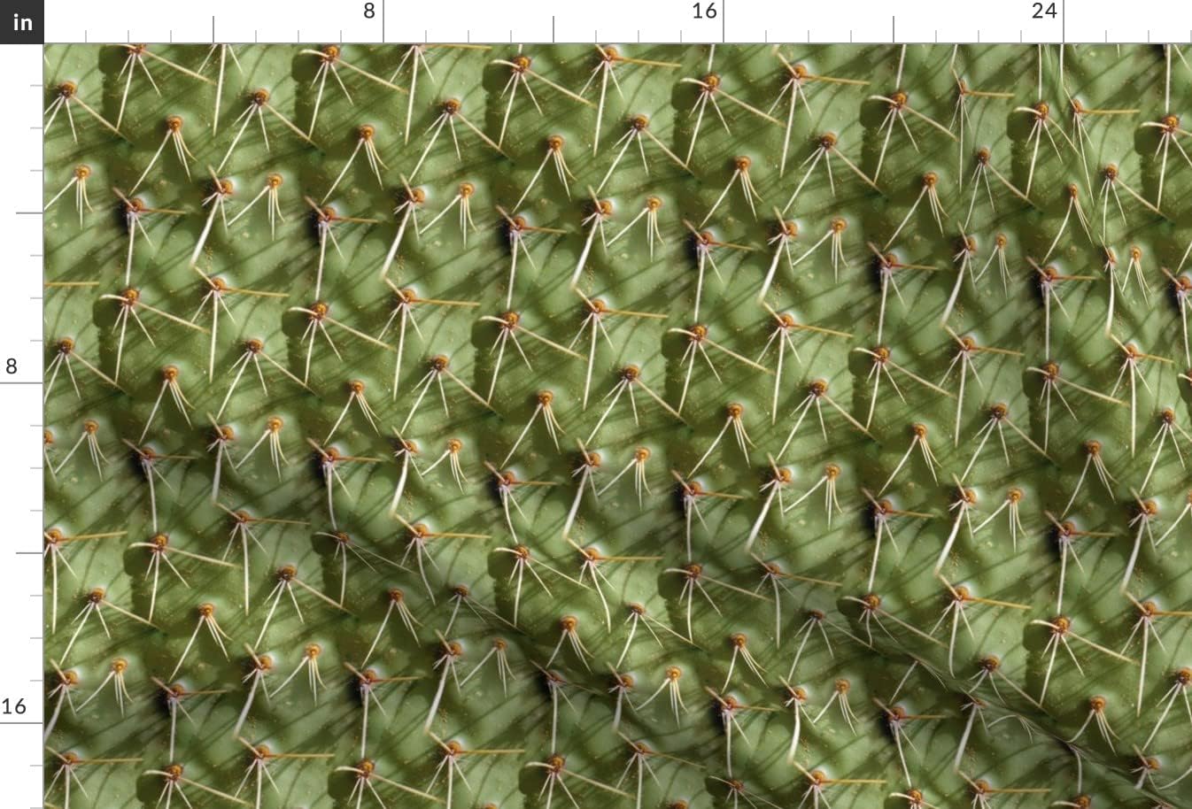 Spoonflower Fabric - Cactus Desert Southwestern Texas Wild West Green Plant Succulent Printed on Minky Fabric by The Yard - Sewing Baby Blankets Quilt Backing Plush