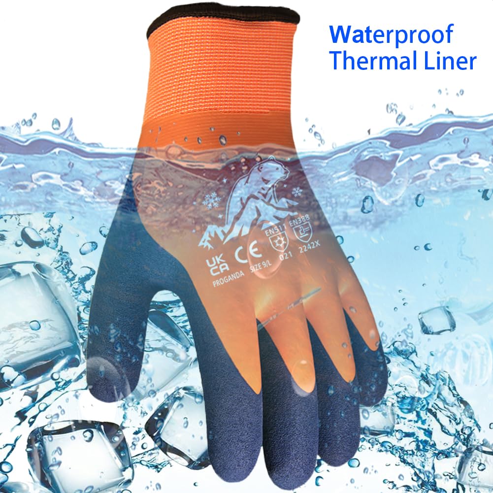 View 2