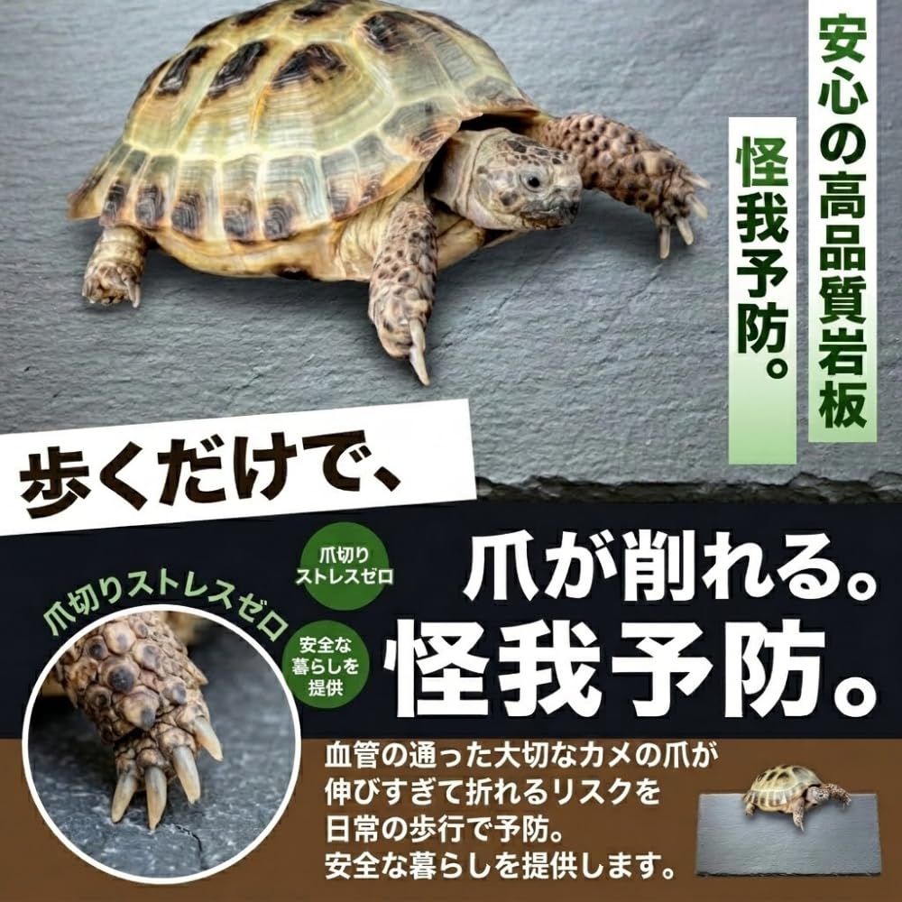 生葉/乾燥葉 ★セミオーダーページ★ ウサギ ハムスター リクガメ さん他 ウサギ リクガメ ハムスター ◎セミオーダーページ◎ 生葉⁄乾燥葉 さん