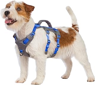 Huntboo Sicherheitsgeschirr Hund Ausbruchsicher, Panikgeschirr für Hunde, Reflektierendes Geschirr Hund mit Griff, Verstellbare Hundegeschirr für kleine, mittelgroße und große Hunde (Meeresblau,XS) product image