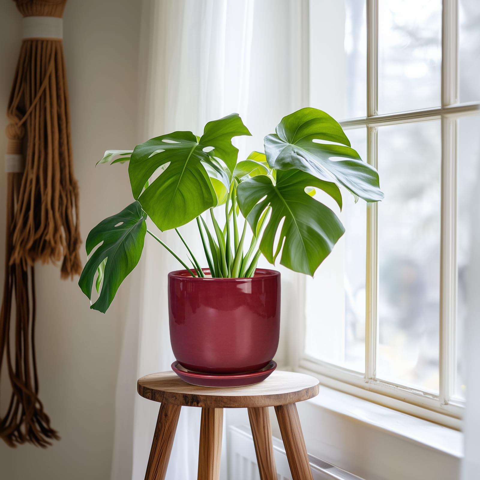 Amazon.com : SUNPOTFOR Ceramic Planter for Plants, Round Modern 7