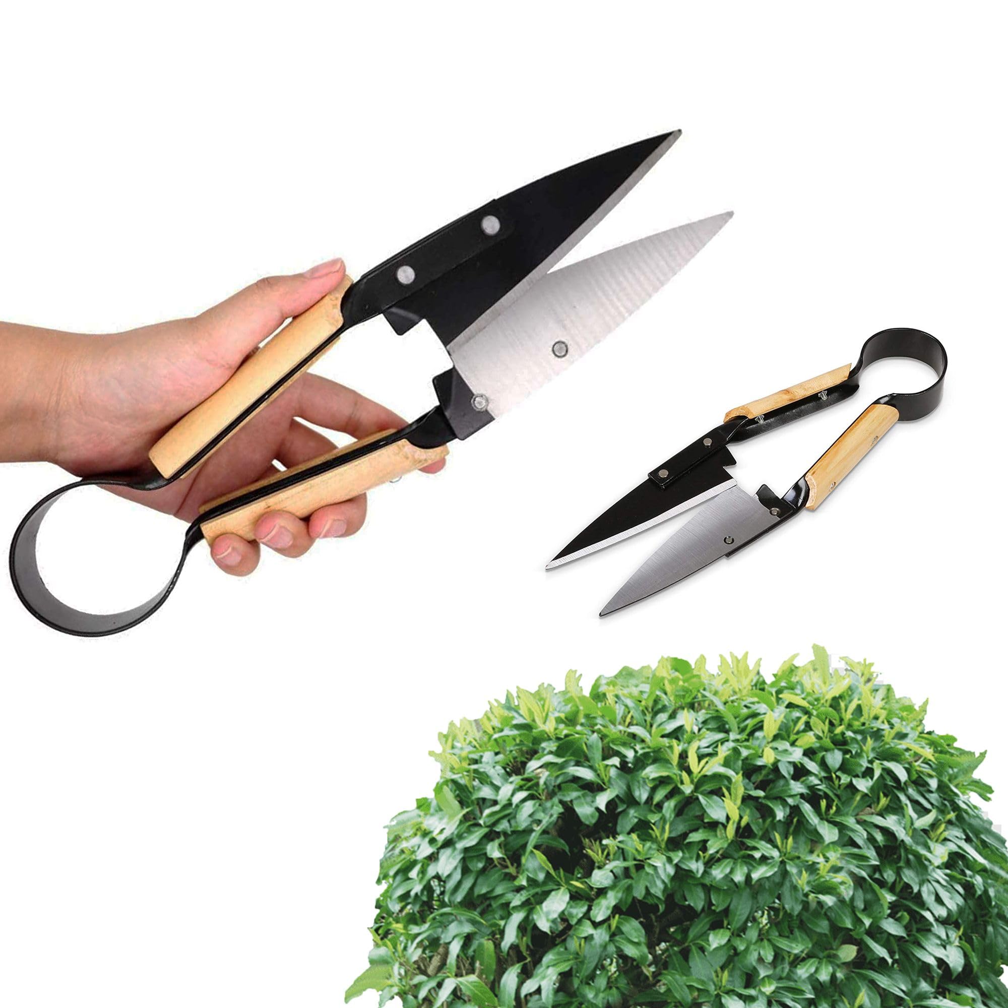 FISHTEC Ciseaux Cisaille Topiaire Tradition - Avec Etui - 33 cm - Sécateur de Jardin en Acier Inox et Manche revêtement Bois - Idéal pour tailler vos Fleurs, Buis, Bonsaï, Haies, Herbe
