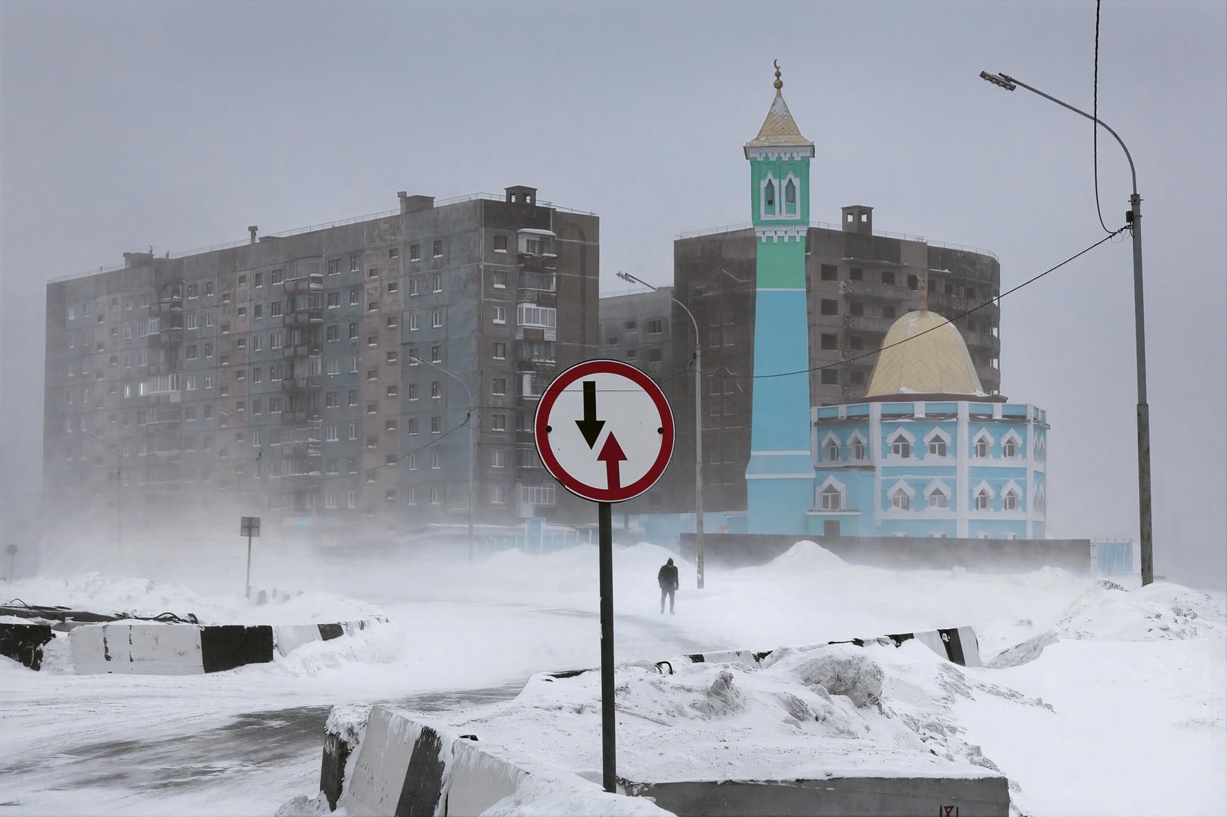 Winterland: The Colors of Snow