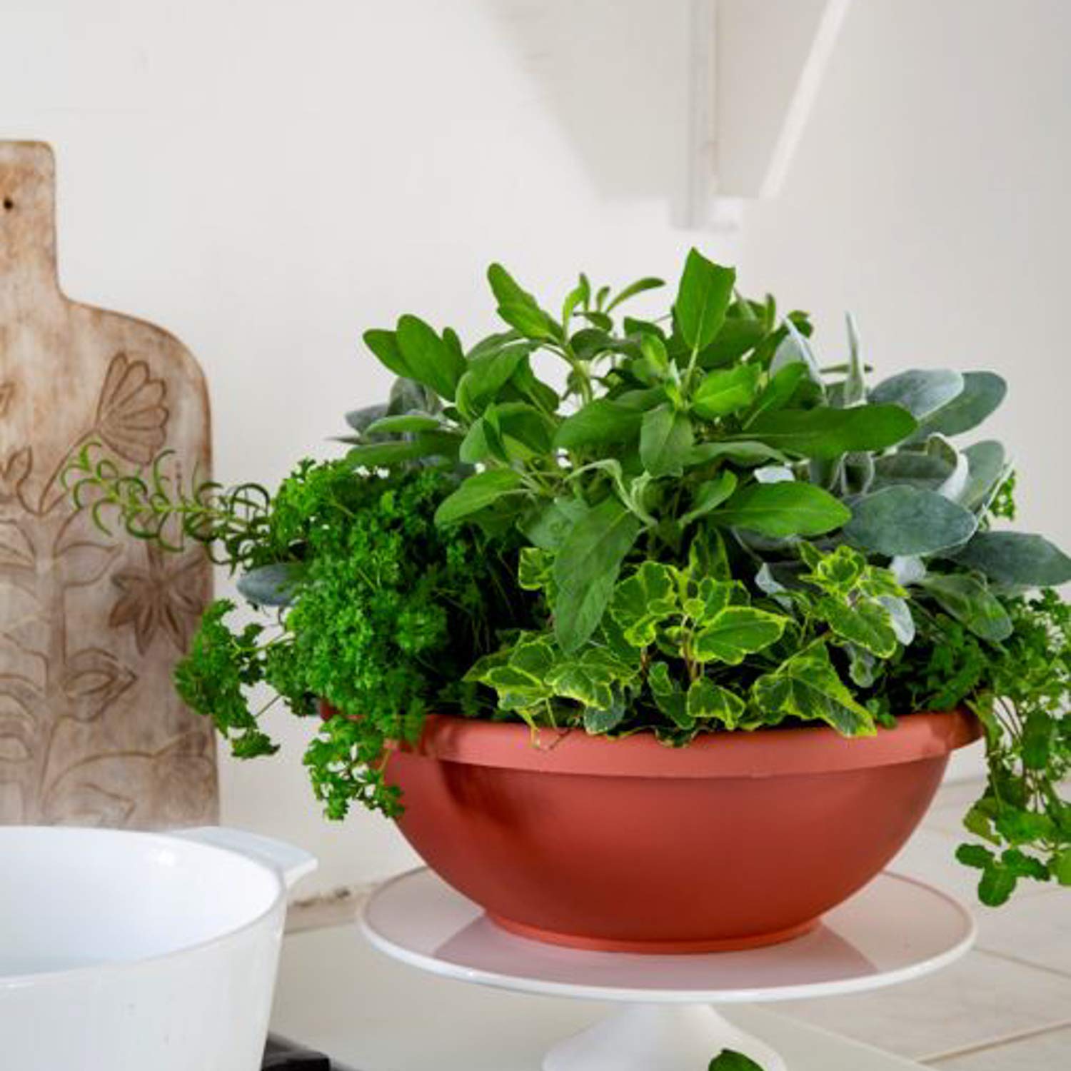 Amazon.com : Akro-Mils HC Companies 18 Inch Resin Garden Bowl