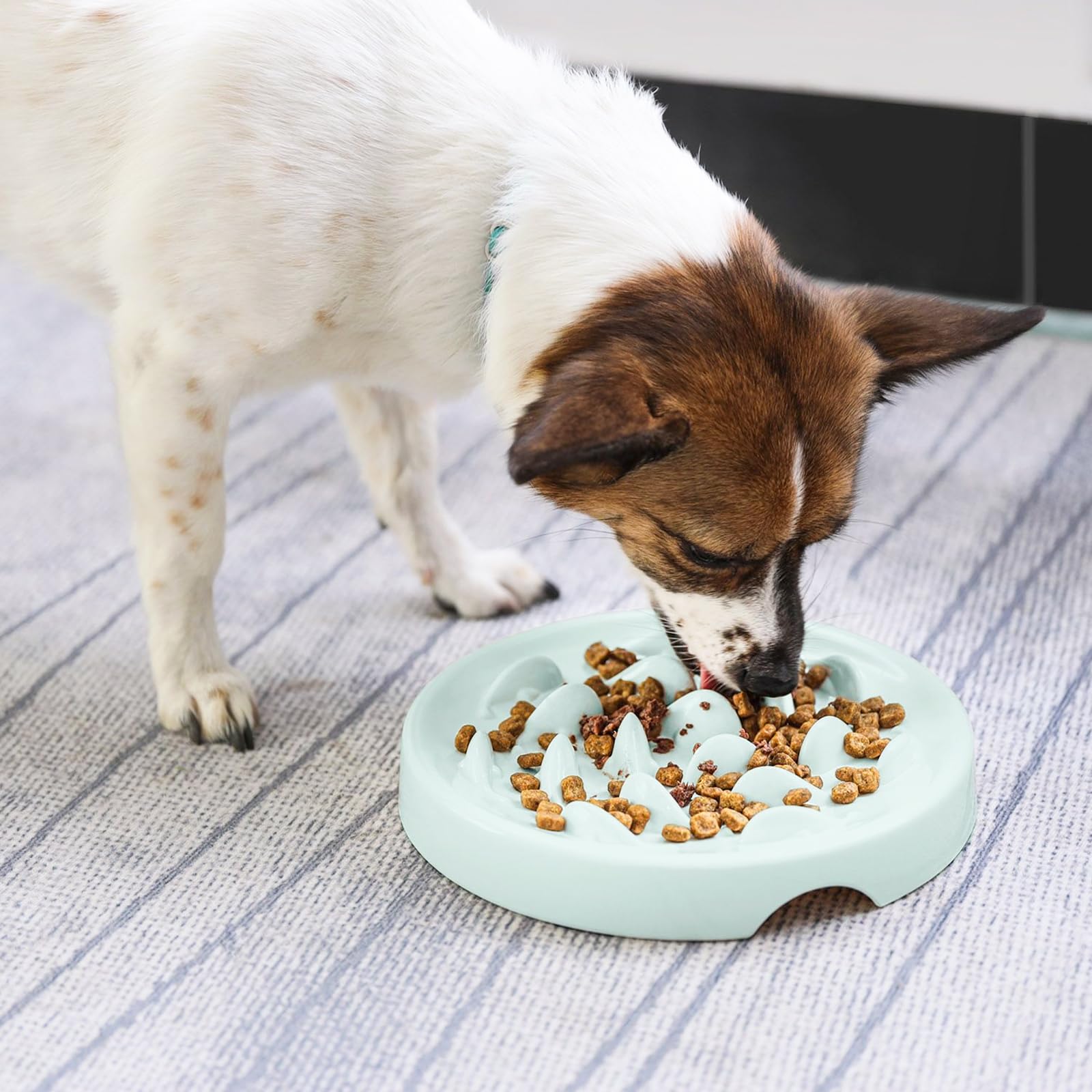 OHMO Gamelle Anti Glouton Chat (140g Capacité, Orbiculaire), Mangeoire Lente Pour Chien, En Silicone Alimentaire, Fond Antidérapant Et Ventouse