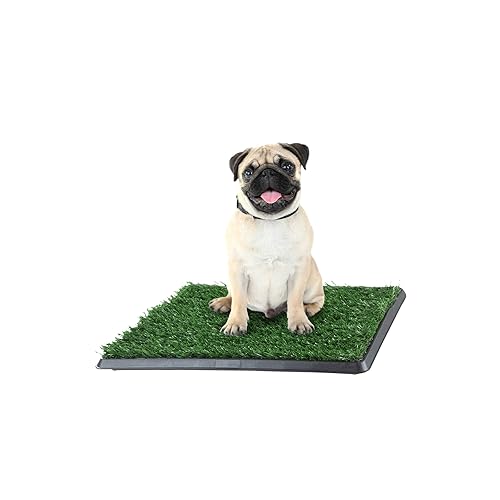 Artificial Grass Puppy Pad with Tray 16x20 inch | Reusable