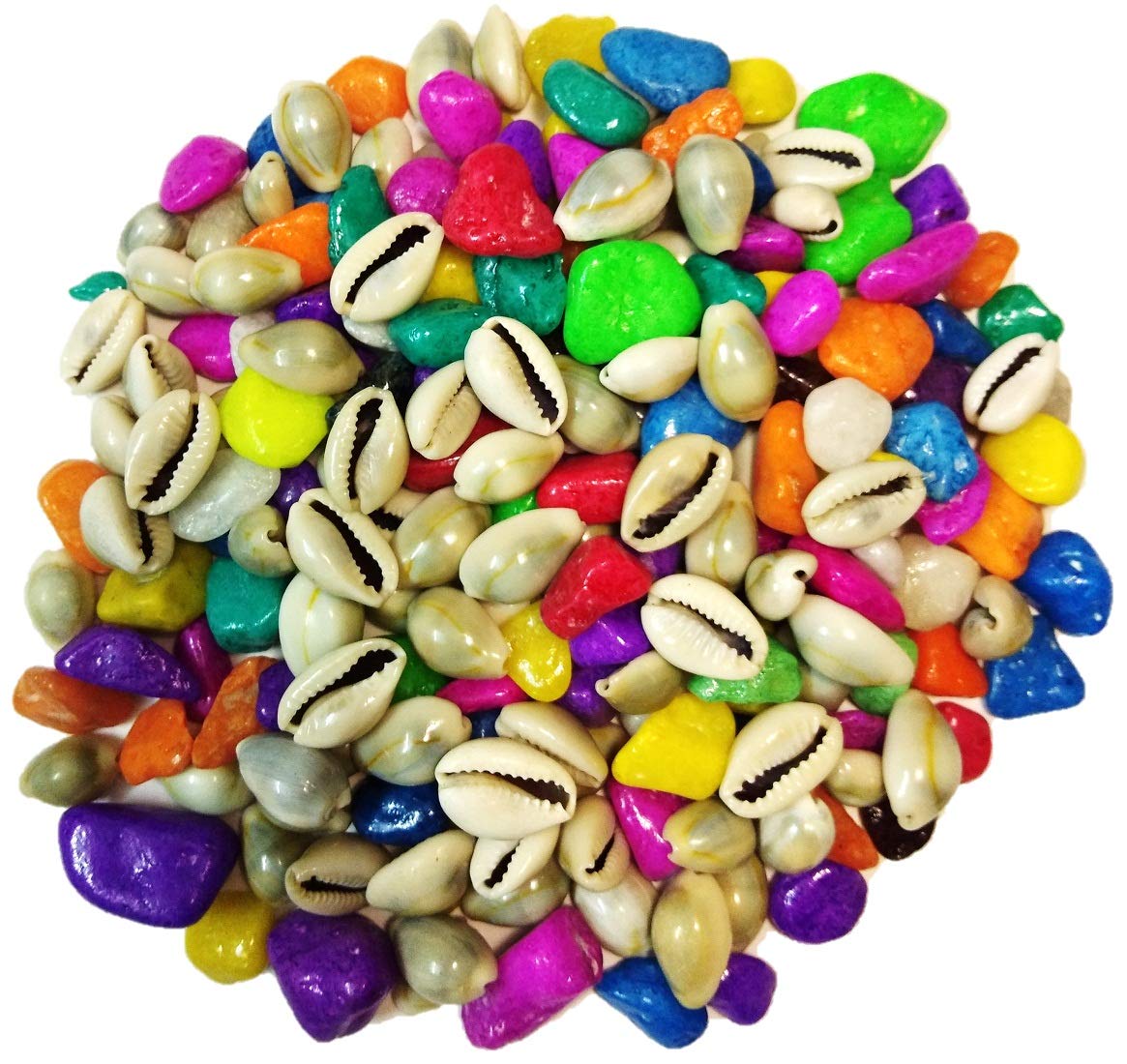 DS Multi-Coloured Pebbles/gravels/Stone with Cowrie Shells for Aquarium, vases, Fountain, Table, Lawn, 250g (B081WVTN5L) Amazon Price History, Amazon Price Tracker