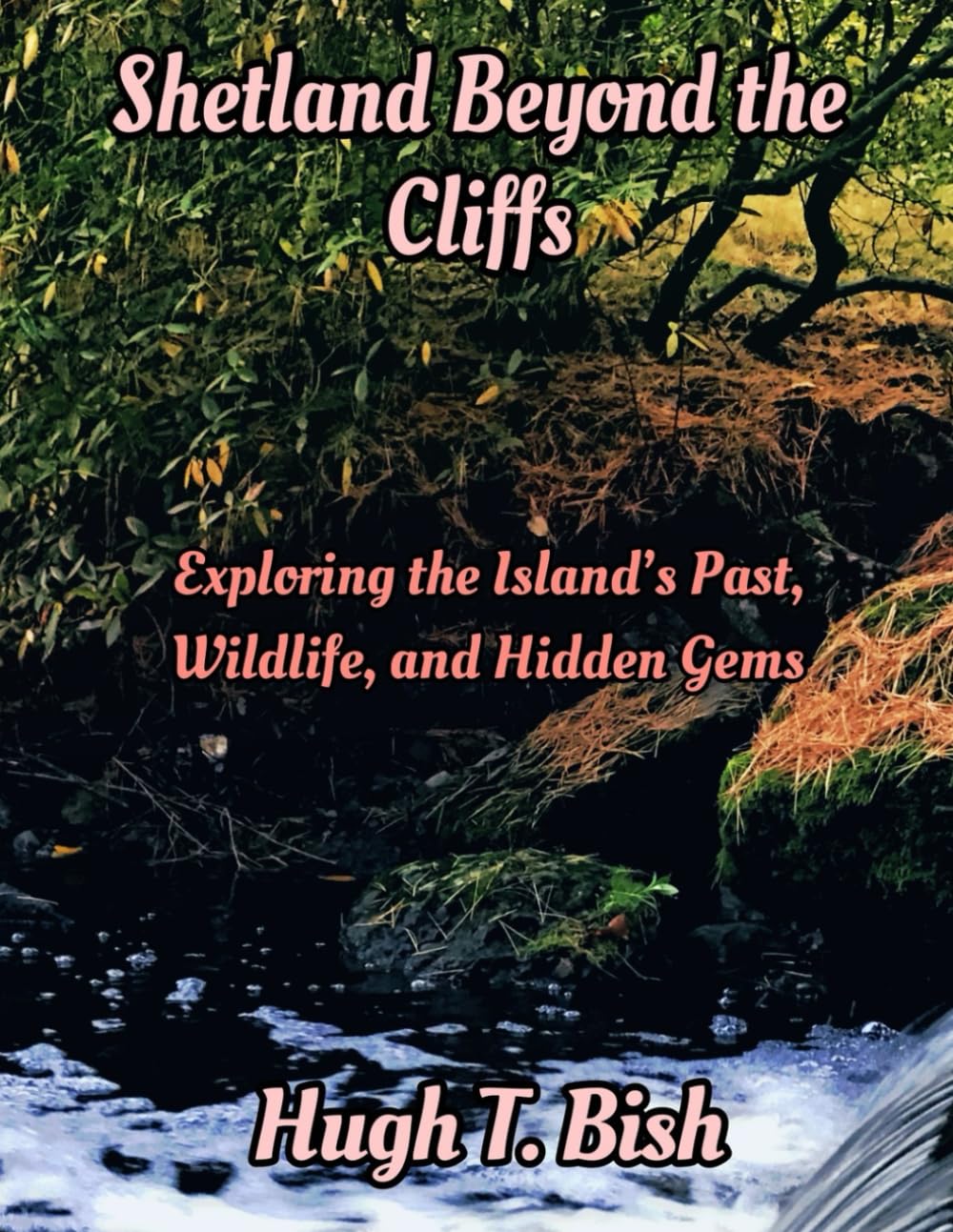 Shetland Beyond the Cliffs: Exploring the Island’s Past, Wildlife, and Hidden Gems