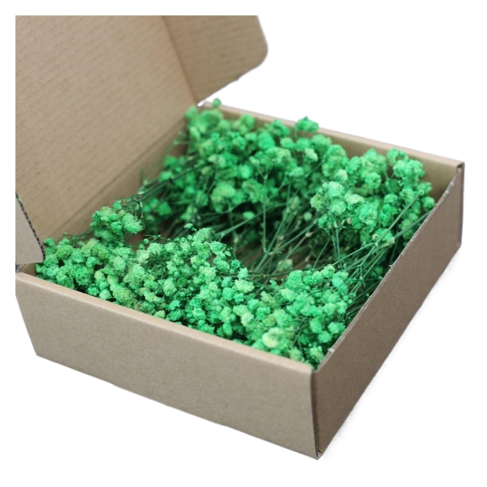 WJIAYAO dried gypsophila flowers 50Pcs Mini White Dried Baby's Breath Flowers Bouquet Small Bunch Gypsophila Bulk DIY Crafts Invitations Candle Making Home Decor(Green)