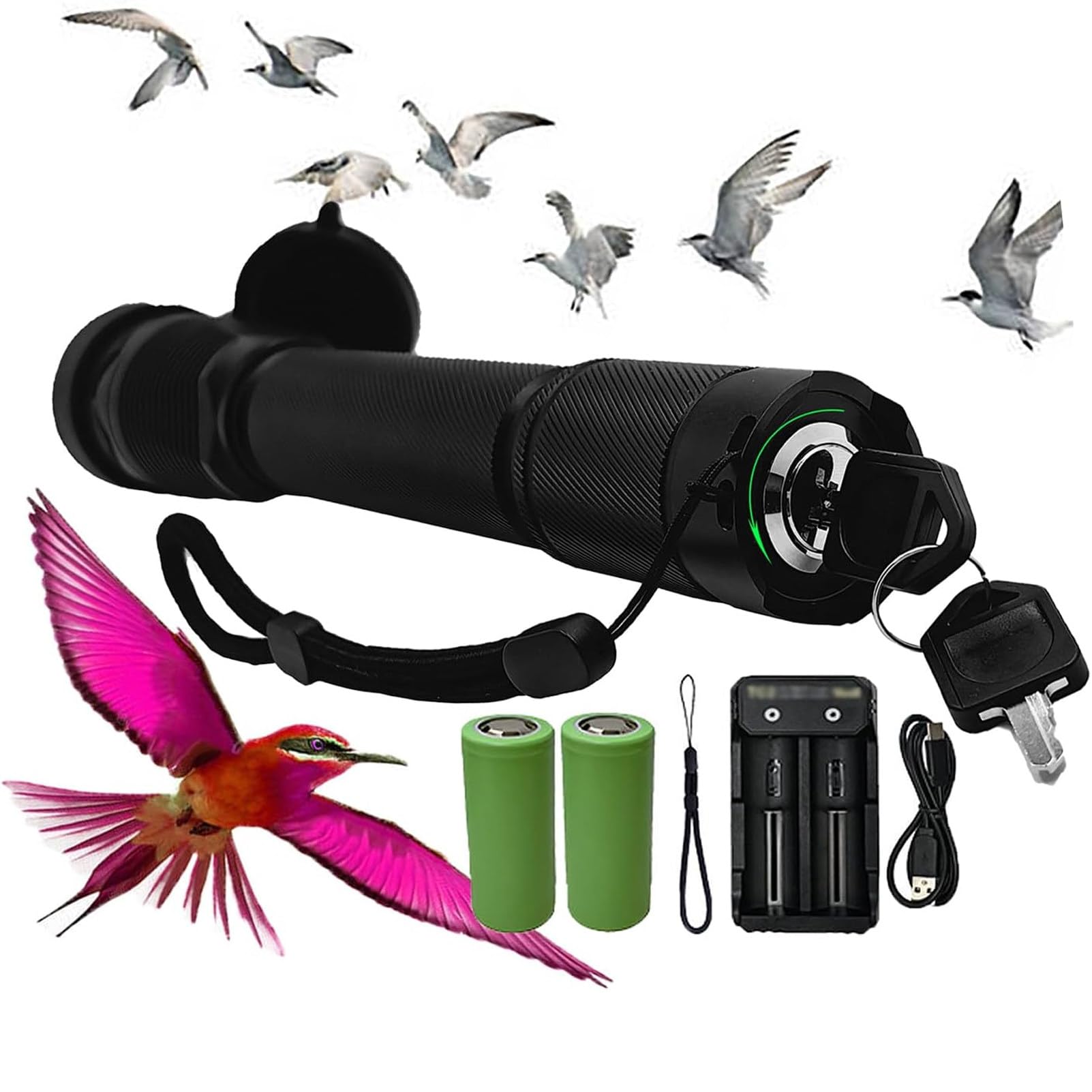Pnpaea Handheld Bird Chaser Deterrent, Rechargeable Green Bird Repeller, Portable Bird Scare Devices, with Flashlight Function, for Camping, Orchard, Warehouse B