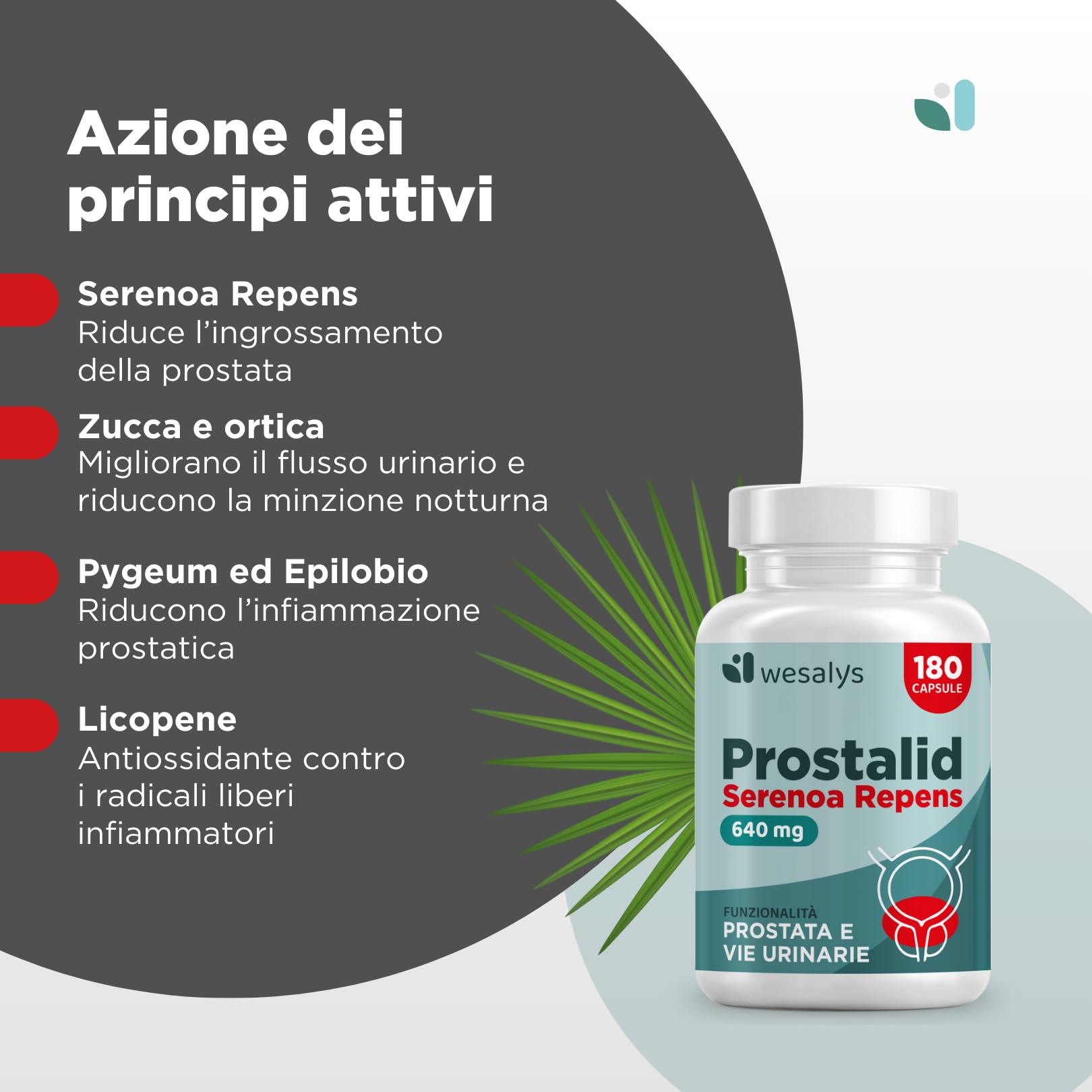 PROSTALID - SERENOA REPENS 640MG | 180 CAPSULE (Fino a 3 Mesi di Fornitura) | Saw Palmetto, Integratore Prostata | con Licopene, Pygeum Africanum, Zucca e Ortica. Integratori Prostata Uomo