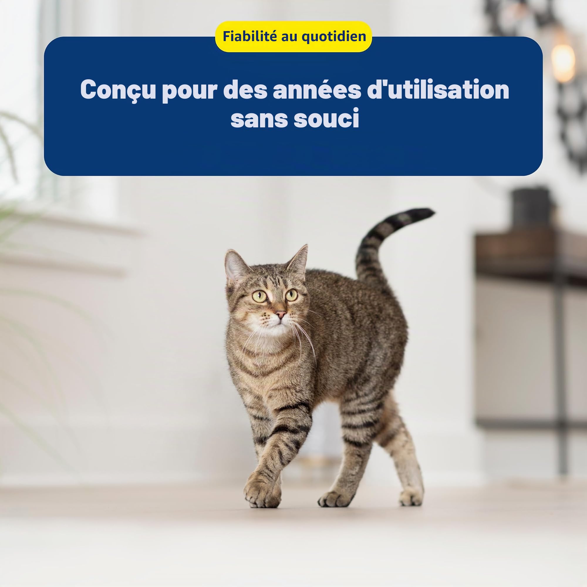 PetSafe Oasys Fontaine à Eau pour Chat ou Chien de Taille Moyenne, Distributeur d'eau filtrée Lavable au Lave-Vaisselle avec contrôle du débit, filtres Inclus, Facile à Nettoyer