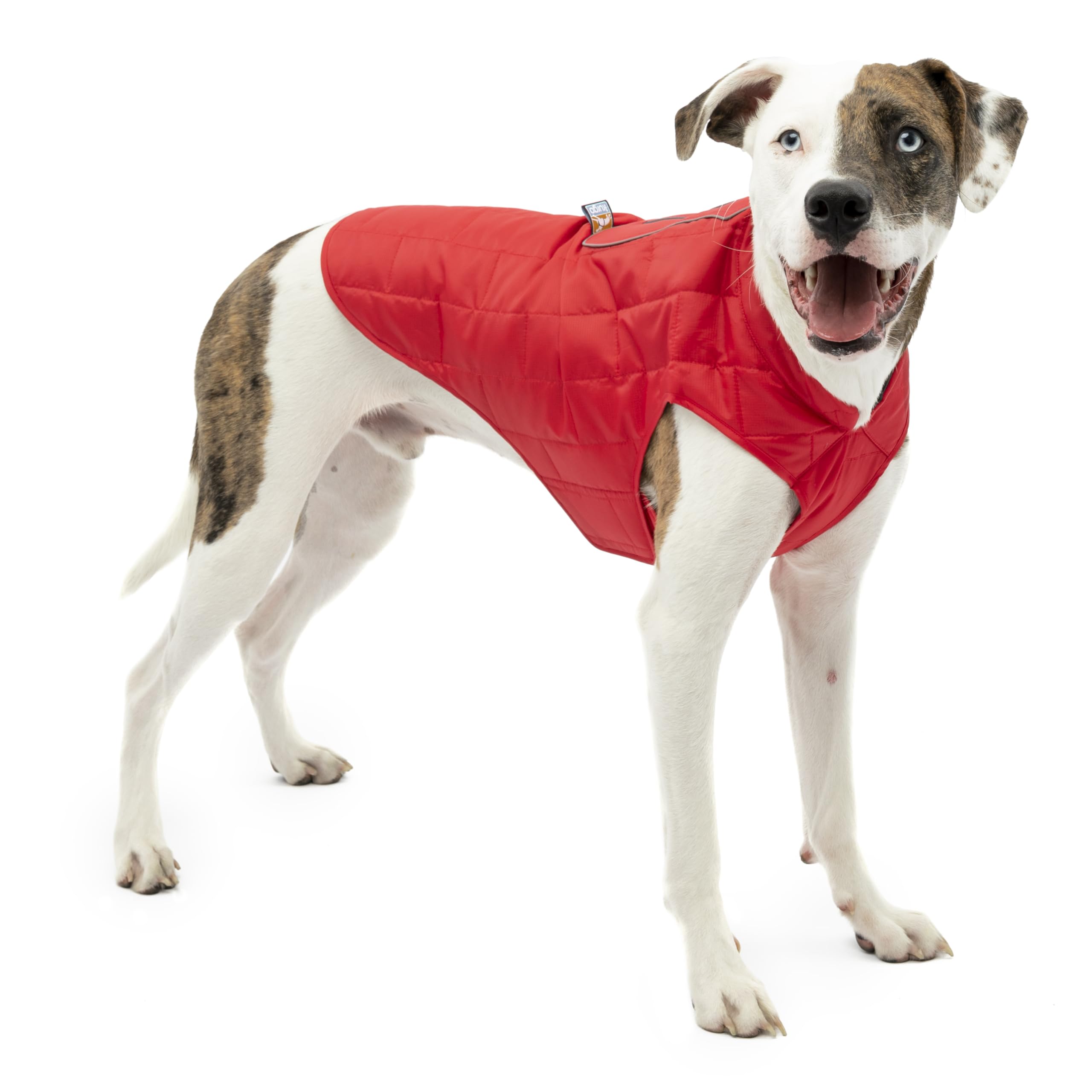 Kurgo Loft Dog Jacket, Reversible Dog Coat, Wear with Harness or Sweater,  Water Resistant, Reflective, Winter Coat for Medium Dogs (Chili Red, M)