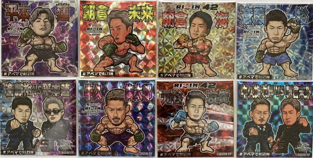 RIZIN シール RIZIN シール Sticker kit - For ZX-14R - SpinningStickers