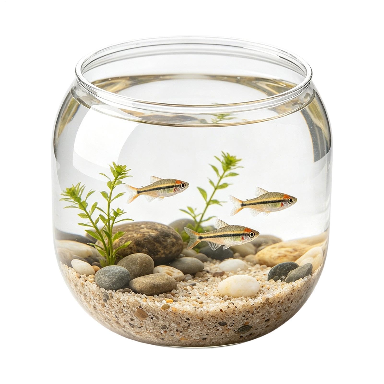 Betta Fish Bowl - 15.5x14.9cm Round Decorative Shatterproof Mini Aquarium Tank, Clear Aquatic Display Container | Home School Classroom Dorm Restaurant Bar Living Room Bedroom Study Desk Decor