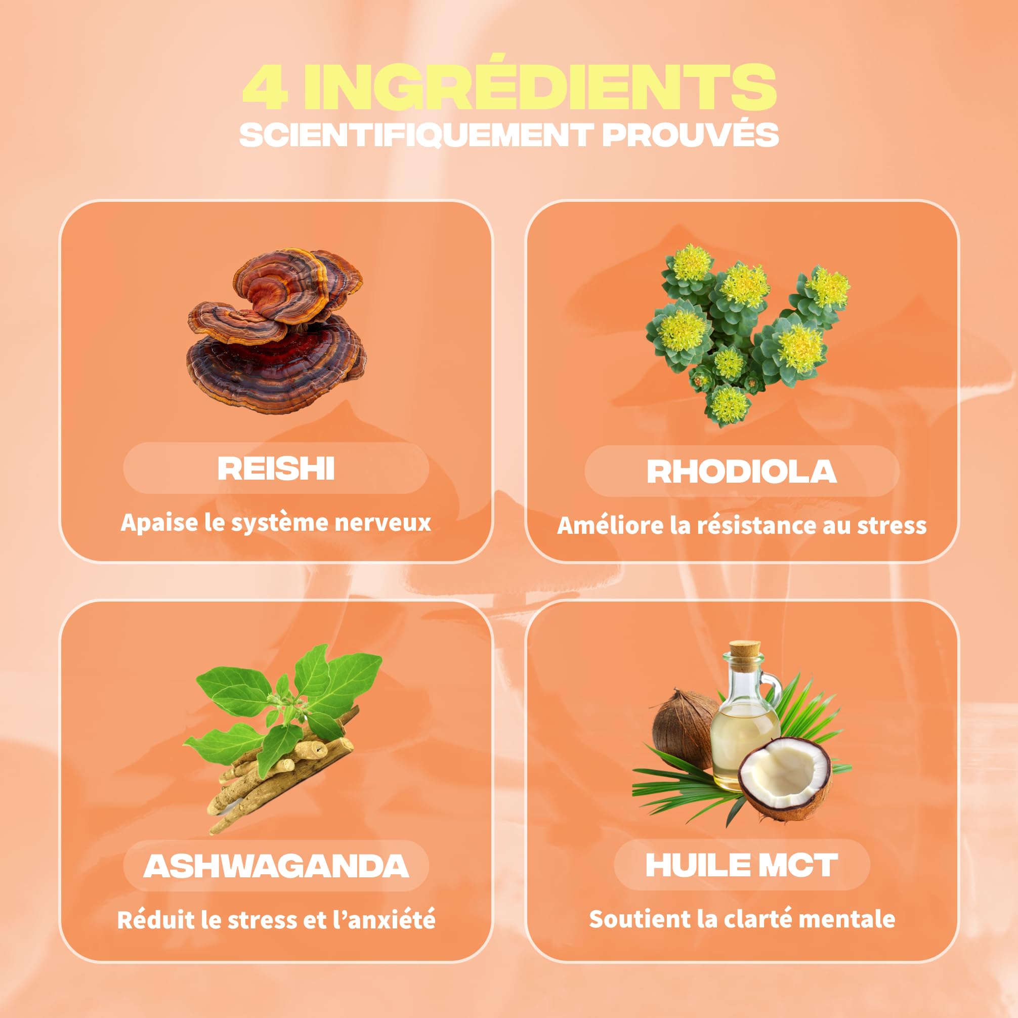 Stress & relaxation - Reishi, Ashwagandha, Rhodiola, huile MCT - fabriqué en France - vitamines & minéraux - vegan, sans gluten - 30 gélules
