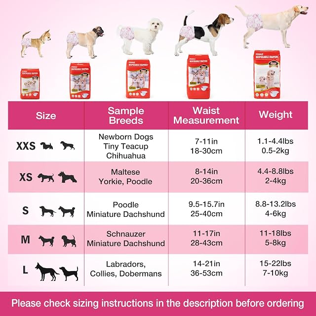 Foto 5 de 7 de Dono Pañales Desechables para Perros Hembras, Pañales Super Absorbentes para Perros