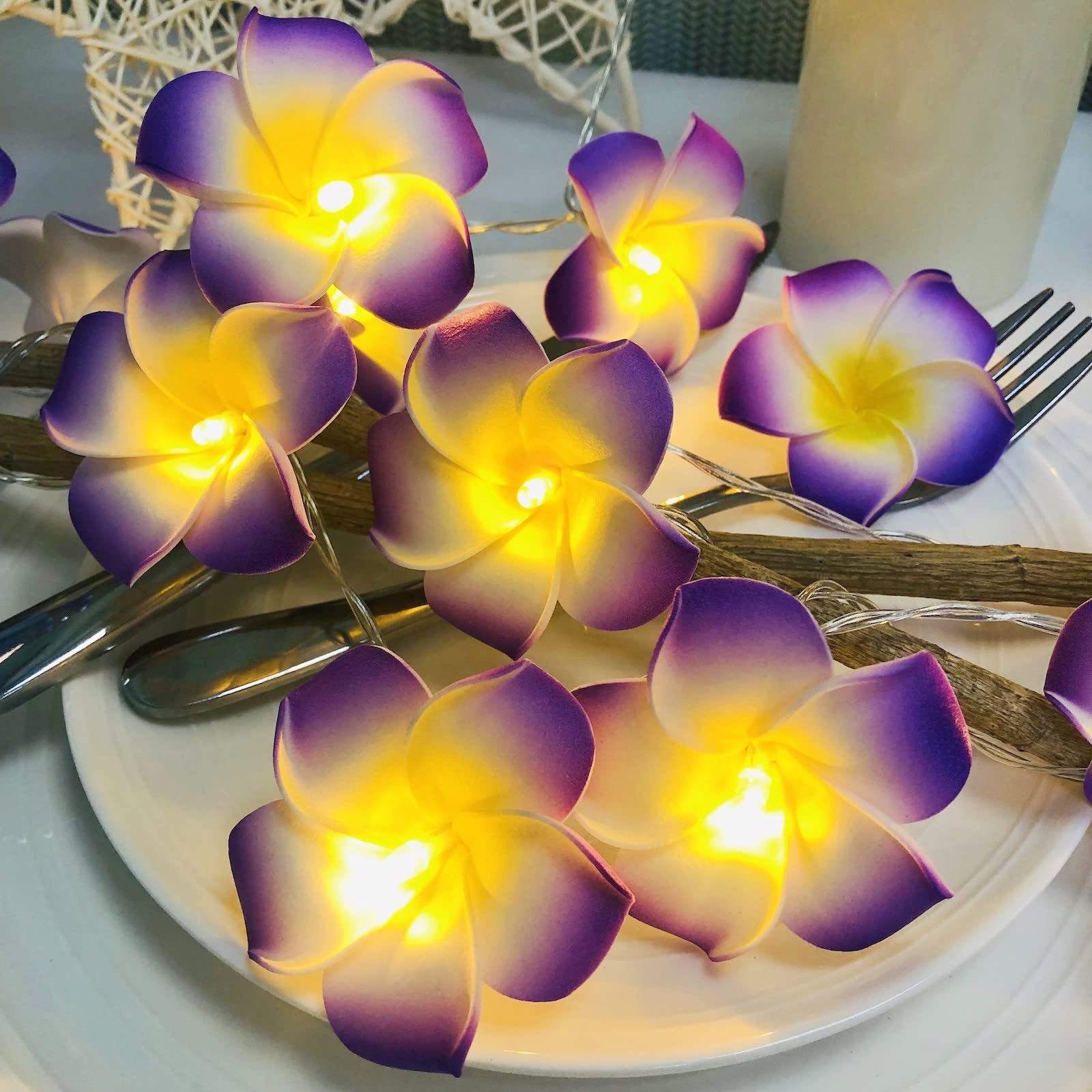 Riaxuebiy 20 LED Purple Plumeria String Lights Frangipani Flower Fairy Lights Eggflower Decorative Garland Battery Operated for Wedding Party Birthday Festival Decor (3m/20led, Purple)