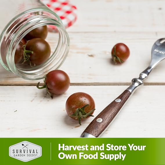 Black Cherry Tomato Seeds for Planting Indeterminate Heirloom Non-GMO Variety Grow High Yields of Deep Purple Bite-SizeTomatoes with Sweet Rich Flavor Survival Garden Seeds (1 Pack)