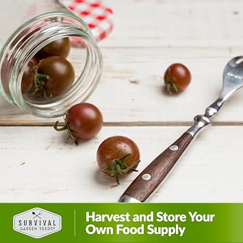 Black Cherry Tomato Seeds for Planting Indeterminate Heirloom Non-GMO Variety Grow High Yields of Deep Purple Bite-SizeTomatoes with Sweet Rich Flavor Survival Garden Seeds (1 Pack)