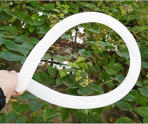 Miniatura 6 de 260 globos blancos largos y delgados, 100 globos largos para globos de animales, incluye lazos para arco