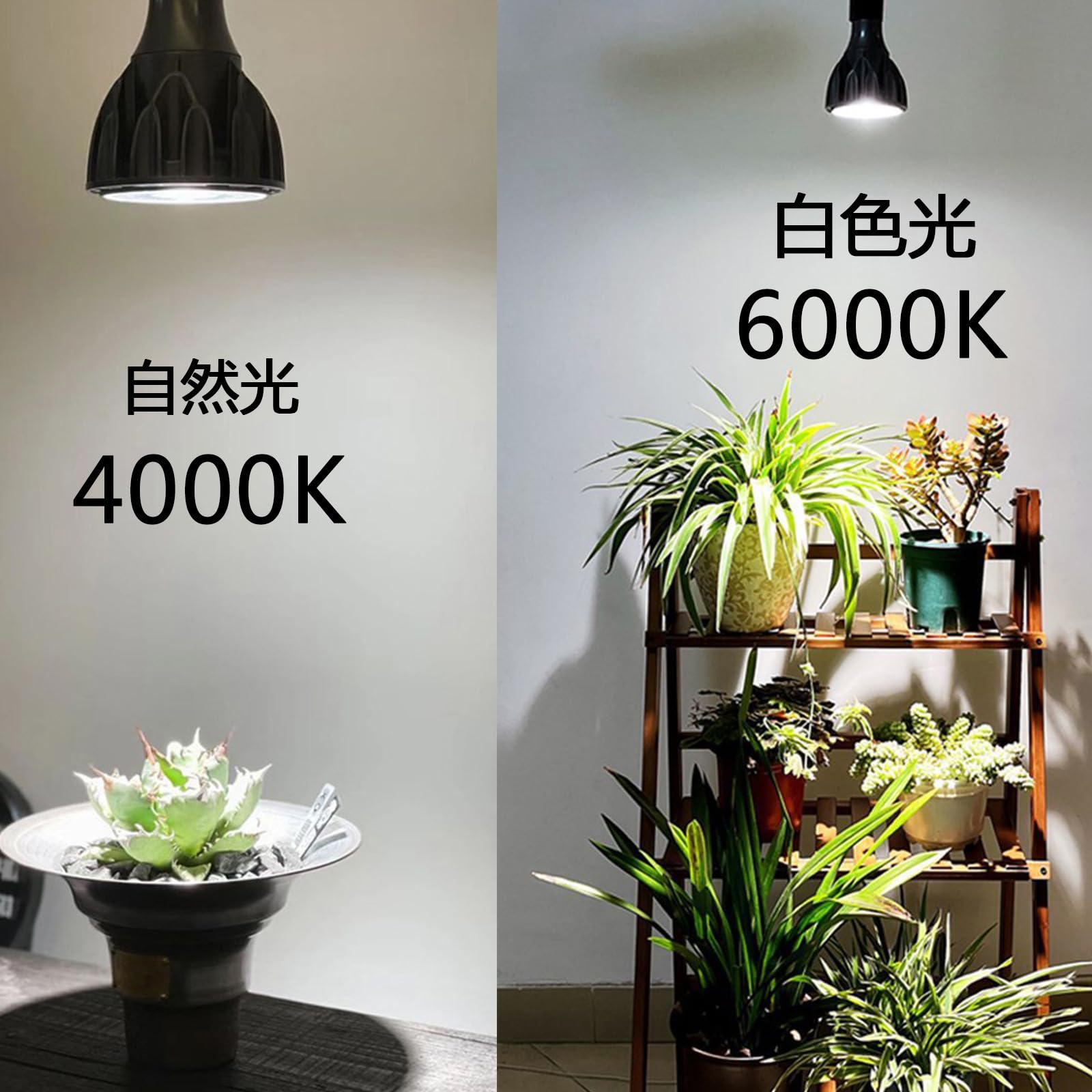 Amazon.co.jp: 24W 植物育成ライト LED E26口金 昼白色 6000k 太陽光を  