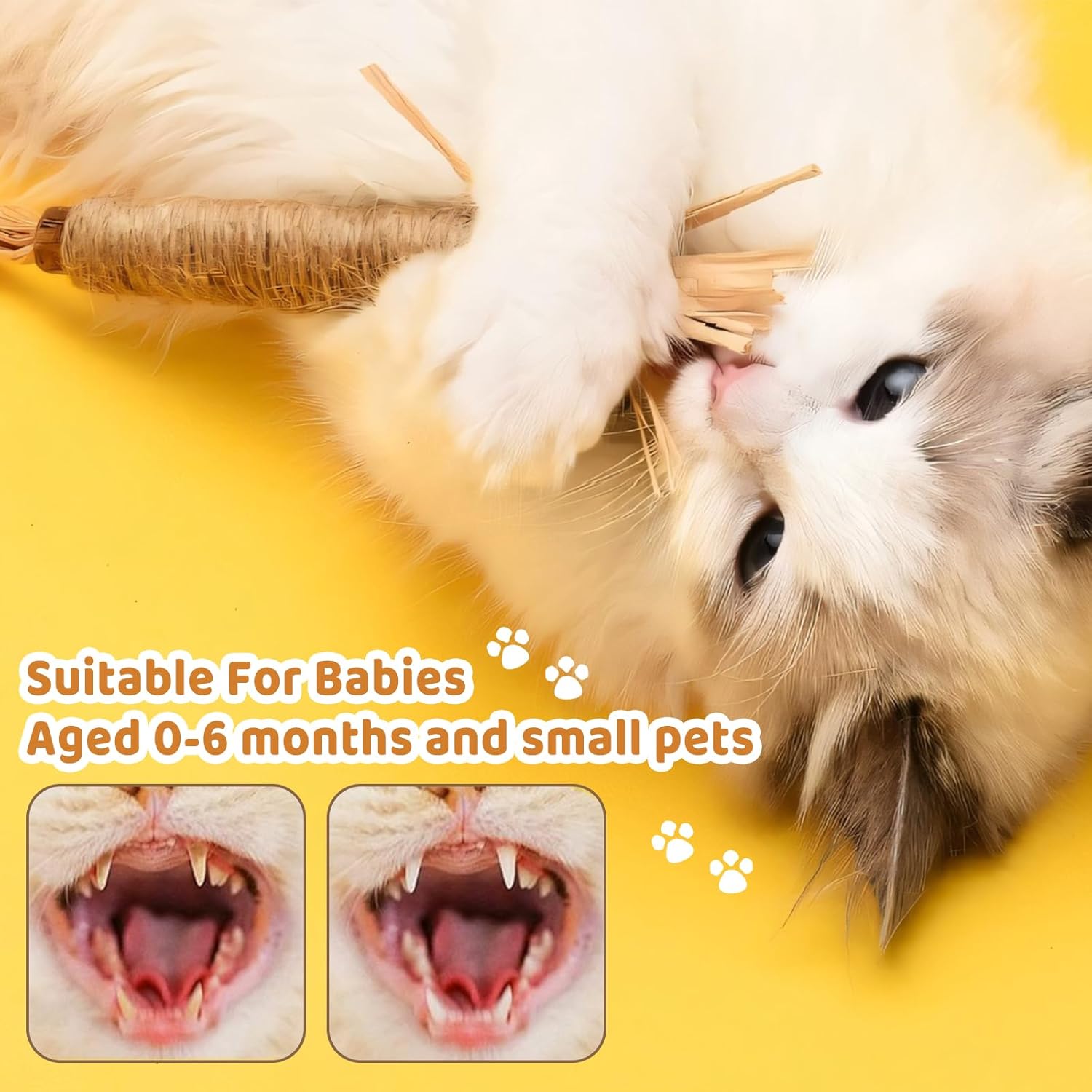 71P+B5Gd bL. AC SL1500