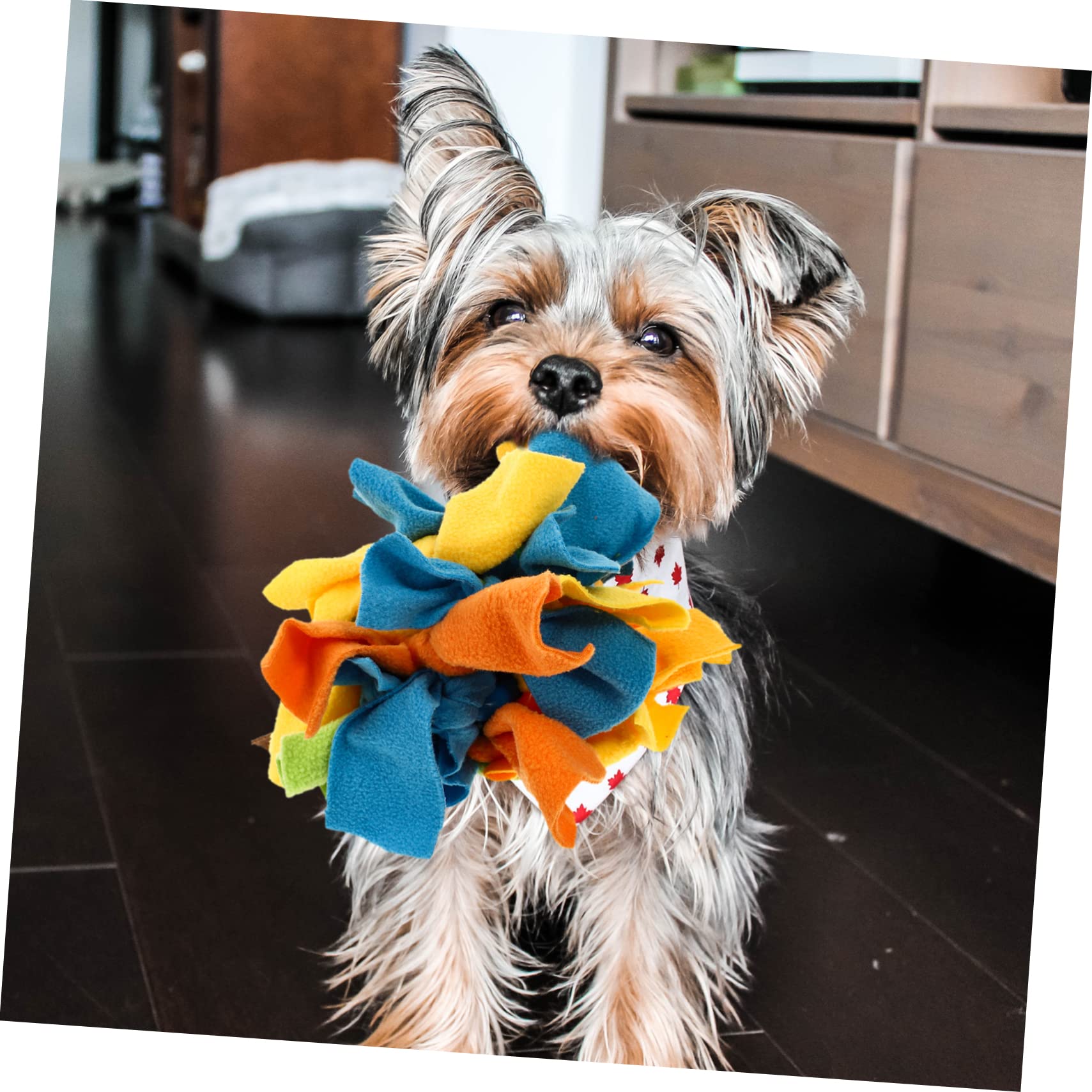 minkissy Juguete de Tela Perros Alimentación para Interactivo Lenta Tira