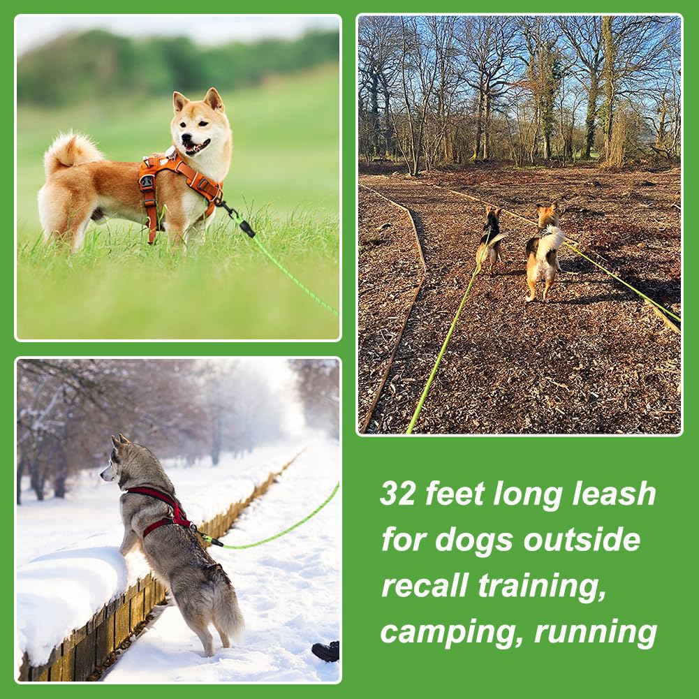 Vivifying Longue Laisse Flottante réfléchissante pour Chien avec poignée Souple pour Le Camping, la randonnée, la Natation, la Plage et Le lac (Vert)