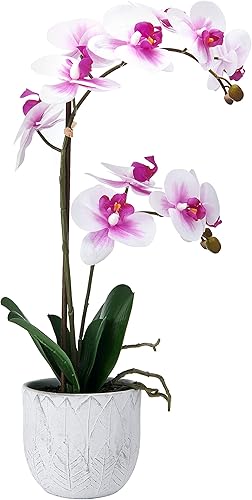 Mikasa Orquídea artificial en maceta, orquídea Phalaenopsis de tacto real, maceta de cemento de hojas en relieve, rama doble de 22 pulgadas,