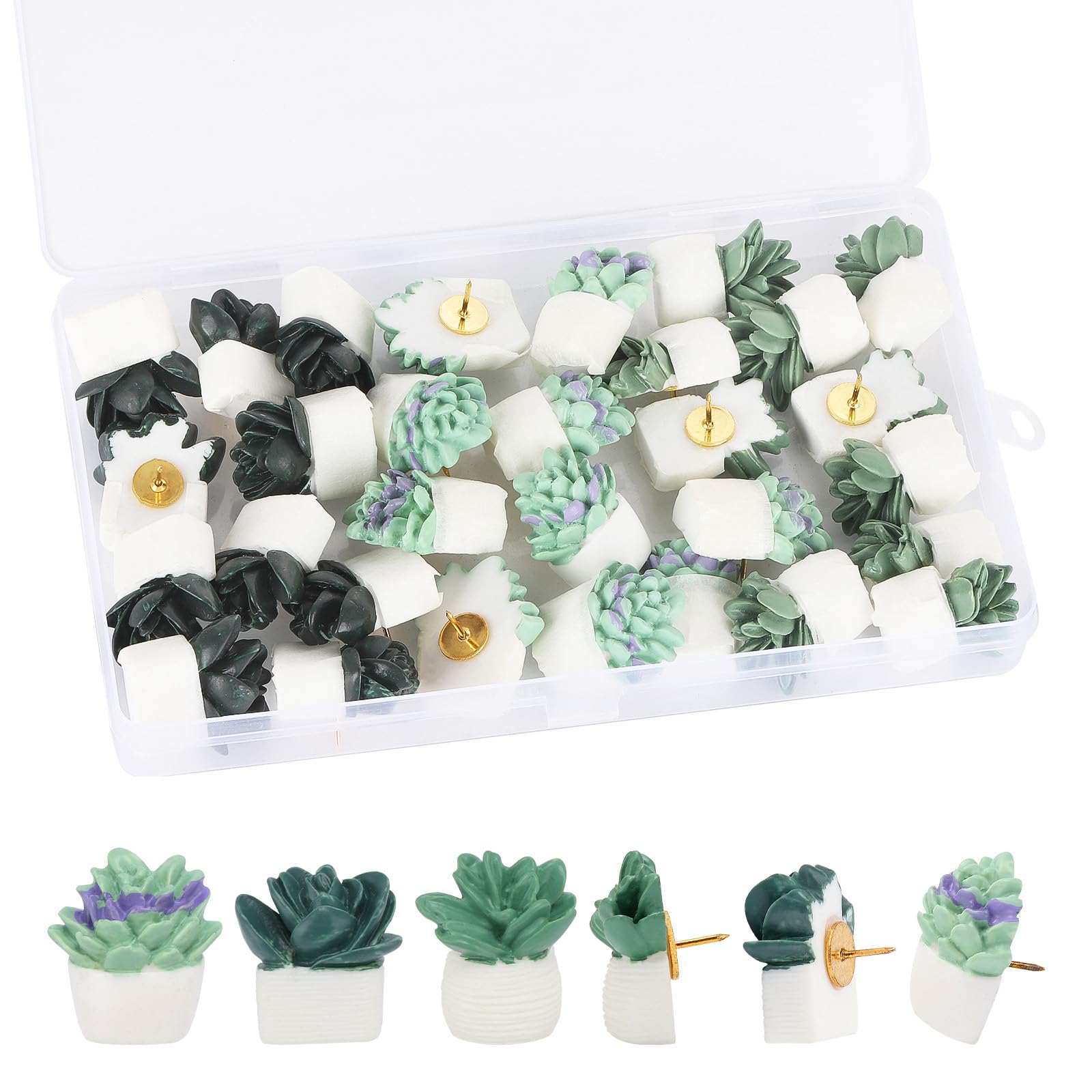 30Pcs Decorative Pushpins Succulent Plants Thumb Tacks for Wall Hangings,Cork Board