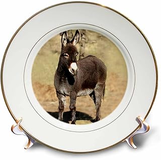 3dRose LLC Miniature Donkey 8-Inch Porcelain Plate