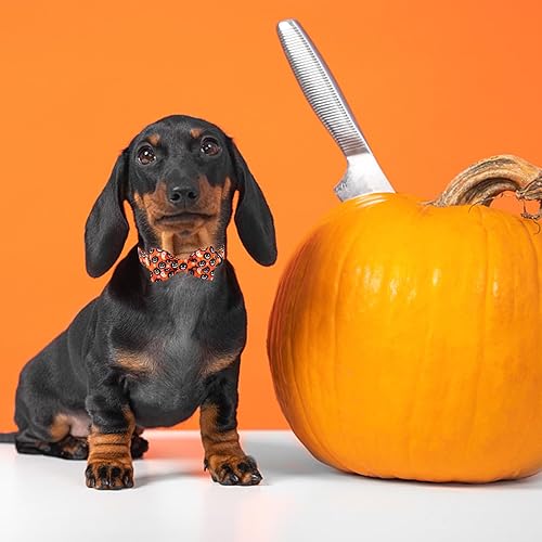 Miniatura 5 de Collar de perro de Halloween con lazo MR. CHUBBYFACE - Collar con diseño de calabaza y fantasma con corbatín para cachorros, perros pequeños,