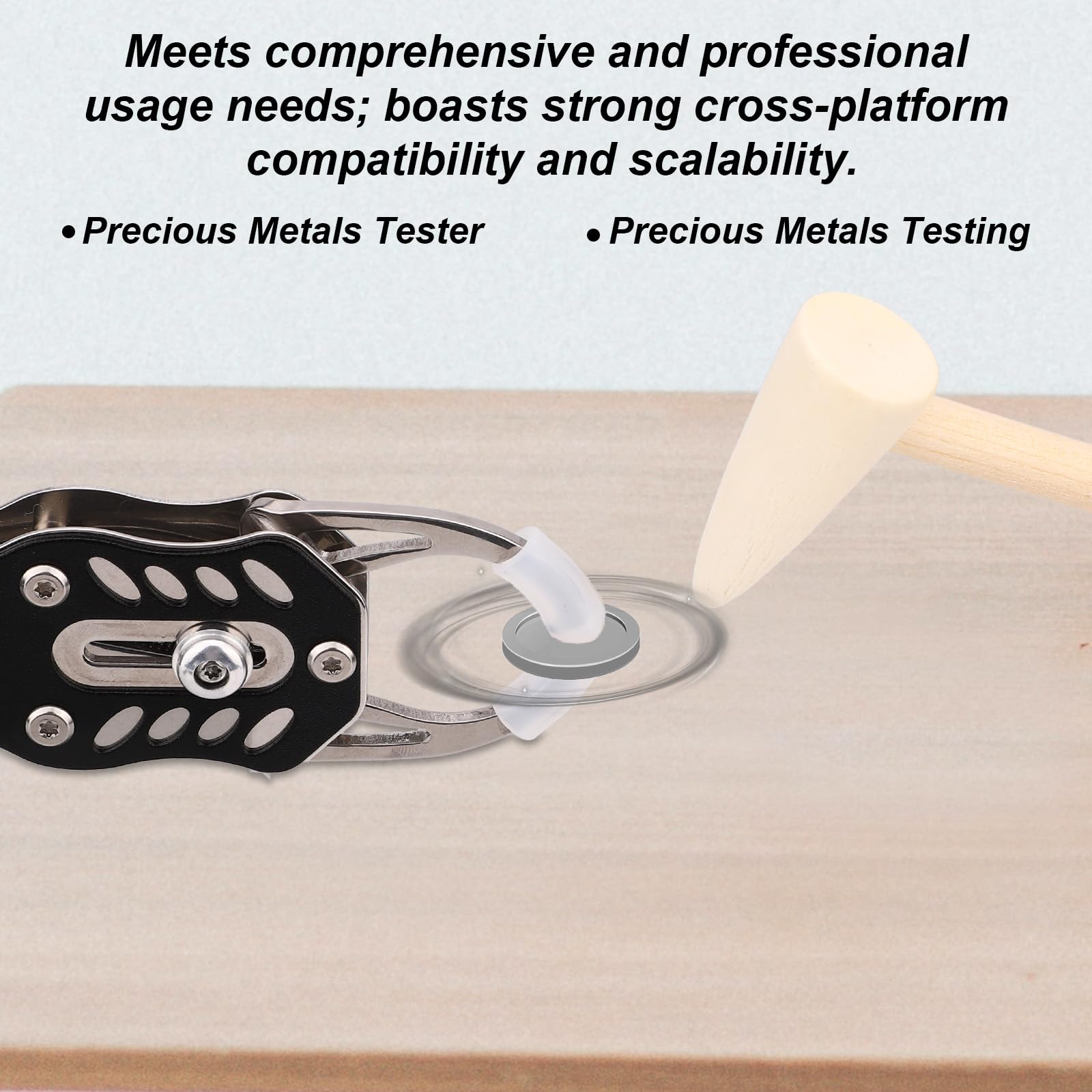 Kit per Test di Vibrazione Delle Monete, Test di Vibrazione Delle Monete Tascabile Strumento Verifica Della Risonanza Vibrazioni e del Confronto Dimensioni Adatto Ai Collezionisti