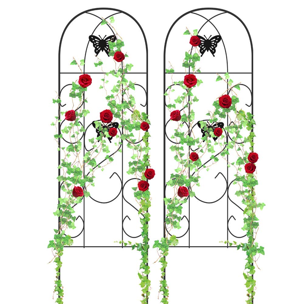 Amagabeli Garden Trellis For Climbing Plants 60 X 18 Rustproof