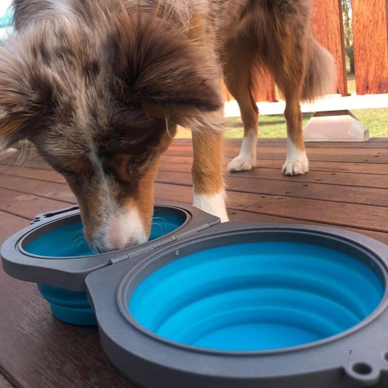 Loving Pets Bella Roma Double Diner Collapsible Dog Bowls - Silicone Dog Bowls, Foldable Bowl, Puppy Essentials & Hiking Pet Supplies Great for Home & Travel (Blue, Small) image 5
