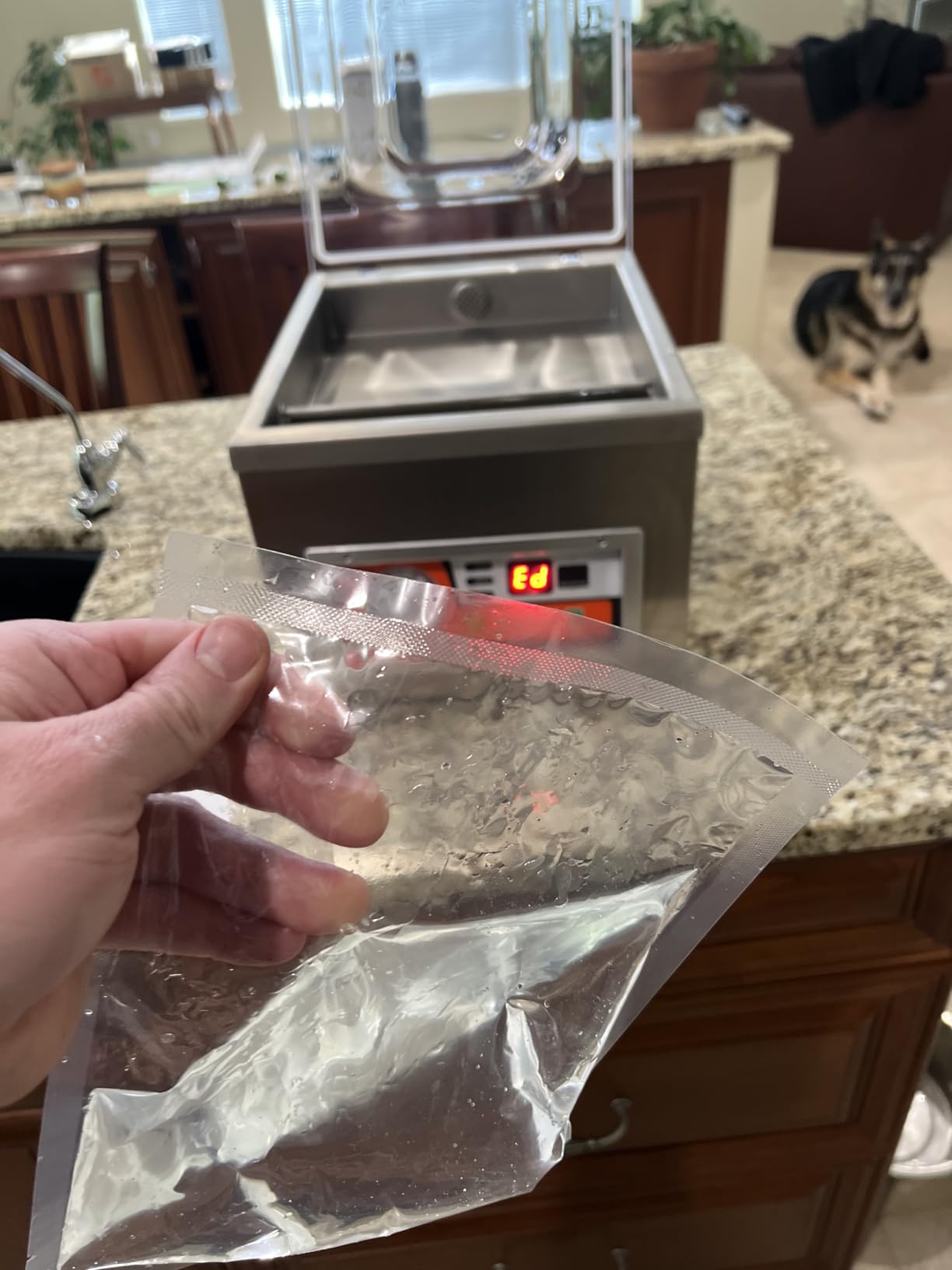 VEVOR Chamber Vacuum Sealer Commercial